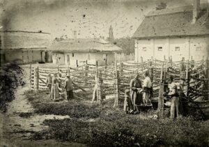 hlszárítás fortepan 86568 magyar földrajzi múzeum erdélyi mór cége