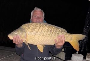 tibor potykája